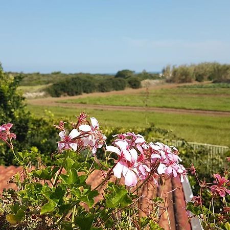 Villa Rosamarina Rosa Marina Ngoại thất bức ảnh